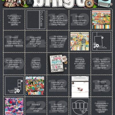 2019 iNSD bingo