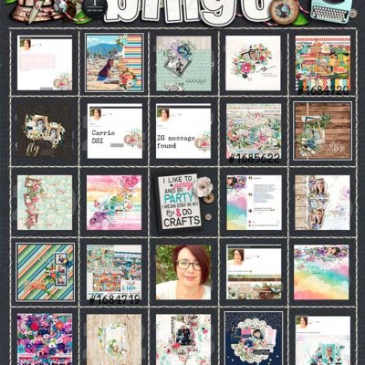 iNSD Bingo 2019
