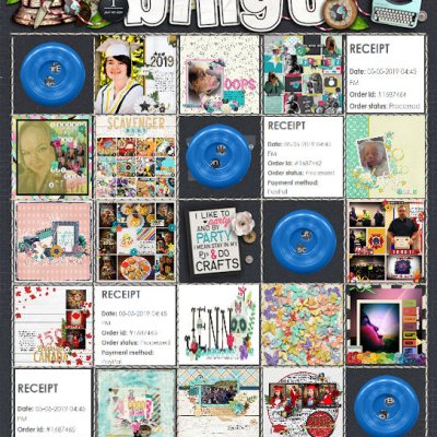 iNSD 2019 BINGO Blackout