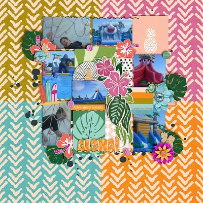 Aloha Adventure Awaits