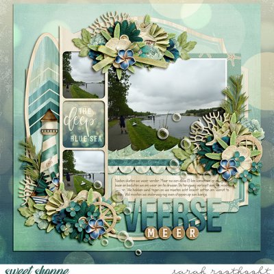 Veerse meer
