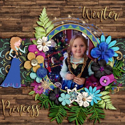 winter princess2