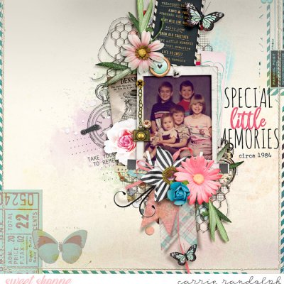 Special Little Memories