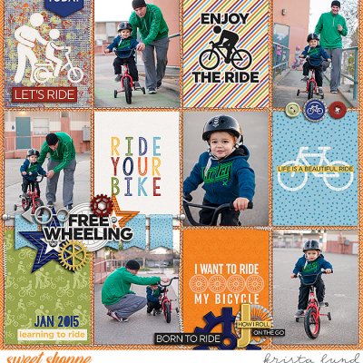 Born to Ride 2015