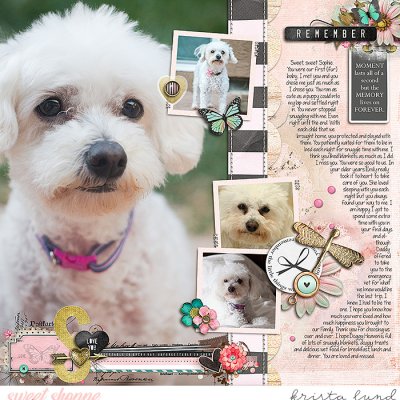 Remembering Sophie 2019