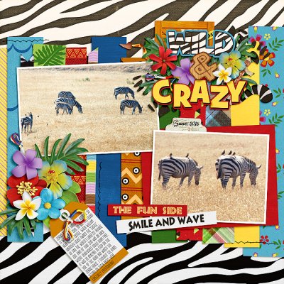 Wild & Crazy