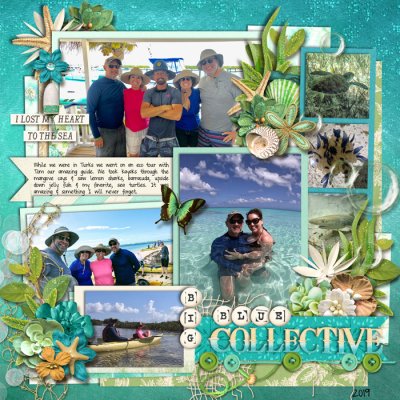 Big Blue Collective