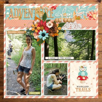 Adventure in the forest