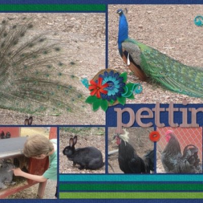 Petting Zoo