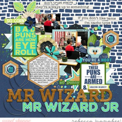 Mr Wizard and Mr Wizard Jr