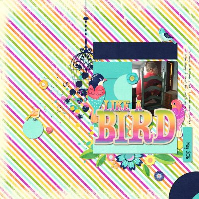 Like a Bird