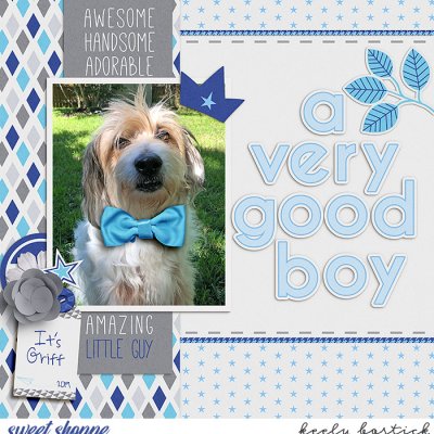 A Very Good Boy