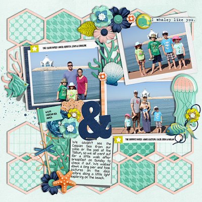 Caspian Sea- #16 June Passport