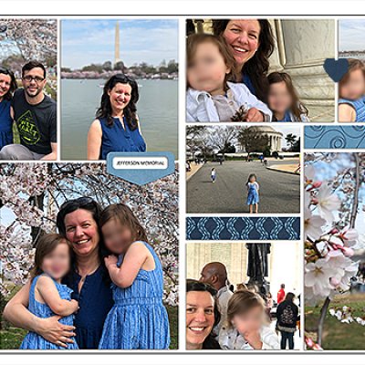Cherry Blossom in Washington