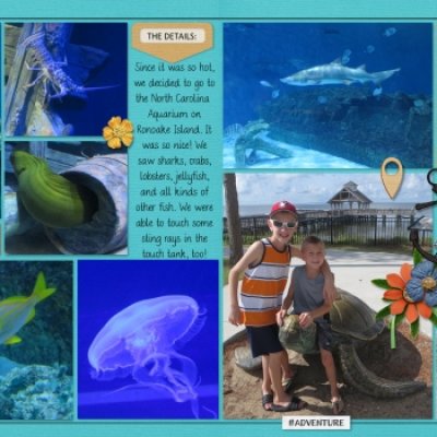 North Carolina Aquarium
