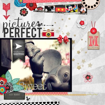 PICTURE PERFECT