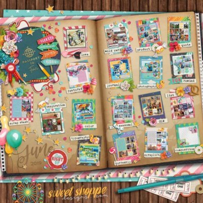 June Passport- finished!