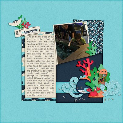 Touch Tank