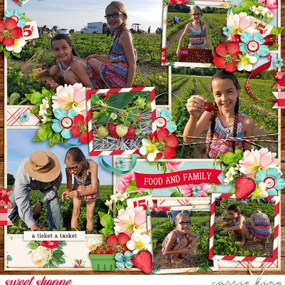 Strawberry Picking
