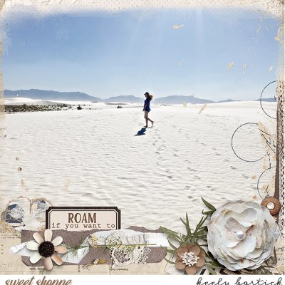Roam