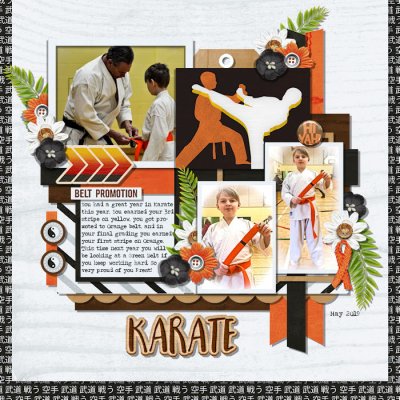 Karate Belt Promotion