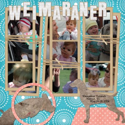 Weimaraner Nationals Page