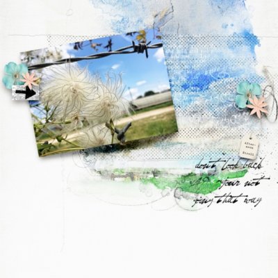 AfternoonStrollNo2