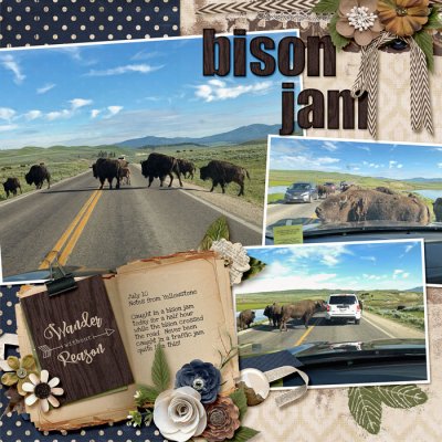 Bison Jam