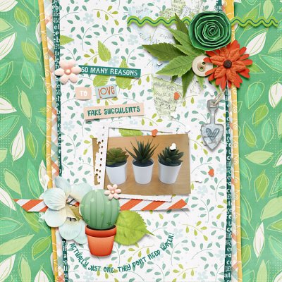 So many reasons to love fake succulents