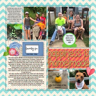 #15 Week 26 page 1