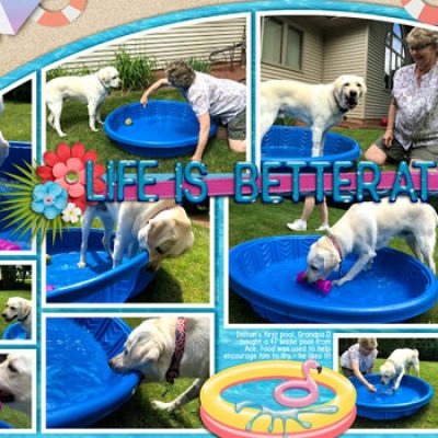 Dalton's new pool