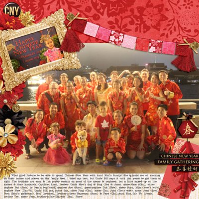 Chinese New Year #18 July Passport