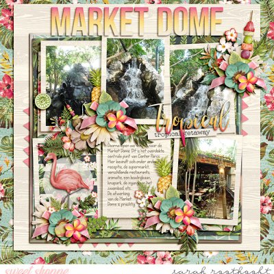 Market Dome
