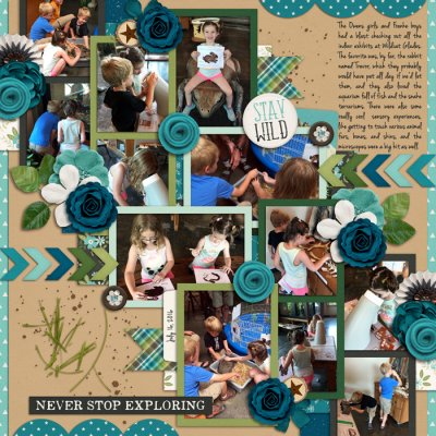 Wildcat Glades Page 2