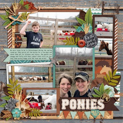 Ponies