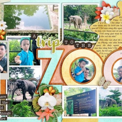 At the zoo!