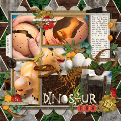 Ethan's Dinosaur Egg