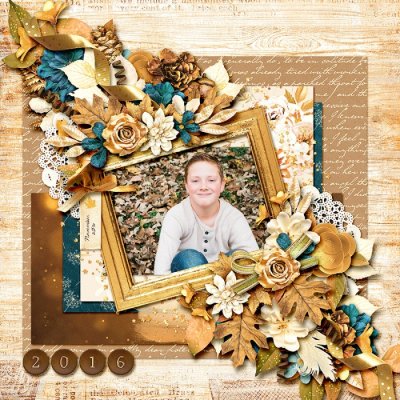 Caleb fall leaves