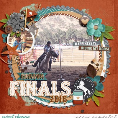 Gymkhana Finals 2016