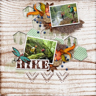 Take a Hike