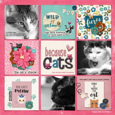 Because Cats