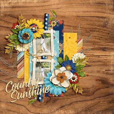 Country Sunshine