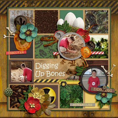 Digging Up Bones