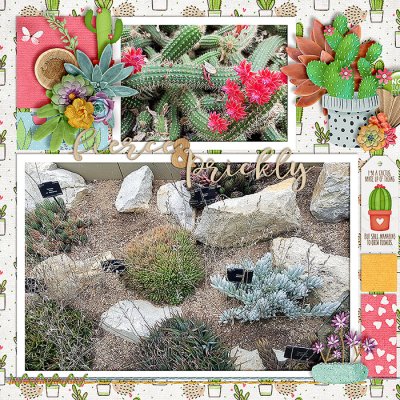 Kew's Cacti