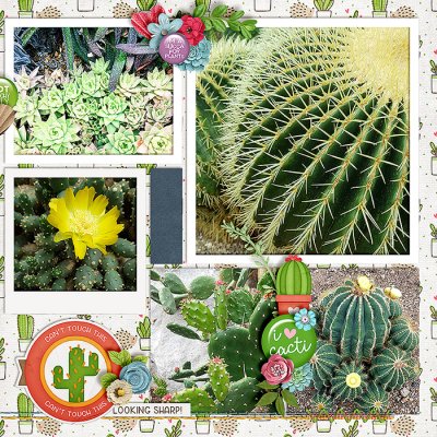 Kew's Cacti
