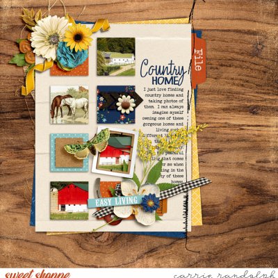 Country Home