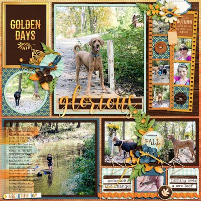 Glorious Golden Days
