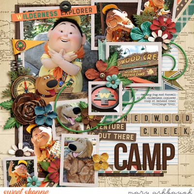 Wilderness Explorer