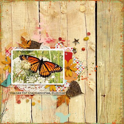 September 2019 Passport Challenge 7-Photography