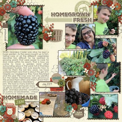 Blackberries 2019